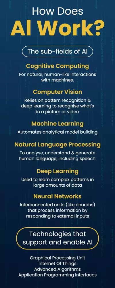 Premium Infographic Poster Templates